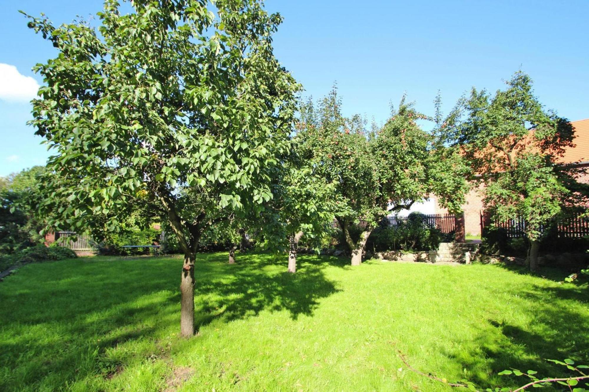Ferienhaus Rosenhof In Lenzen Экстерьер фото